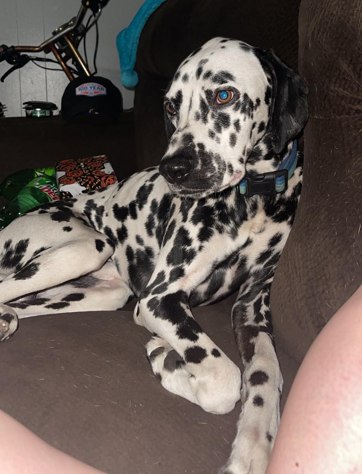 Ollieelkhart  In thumbnail 5