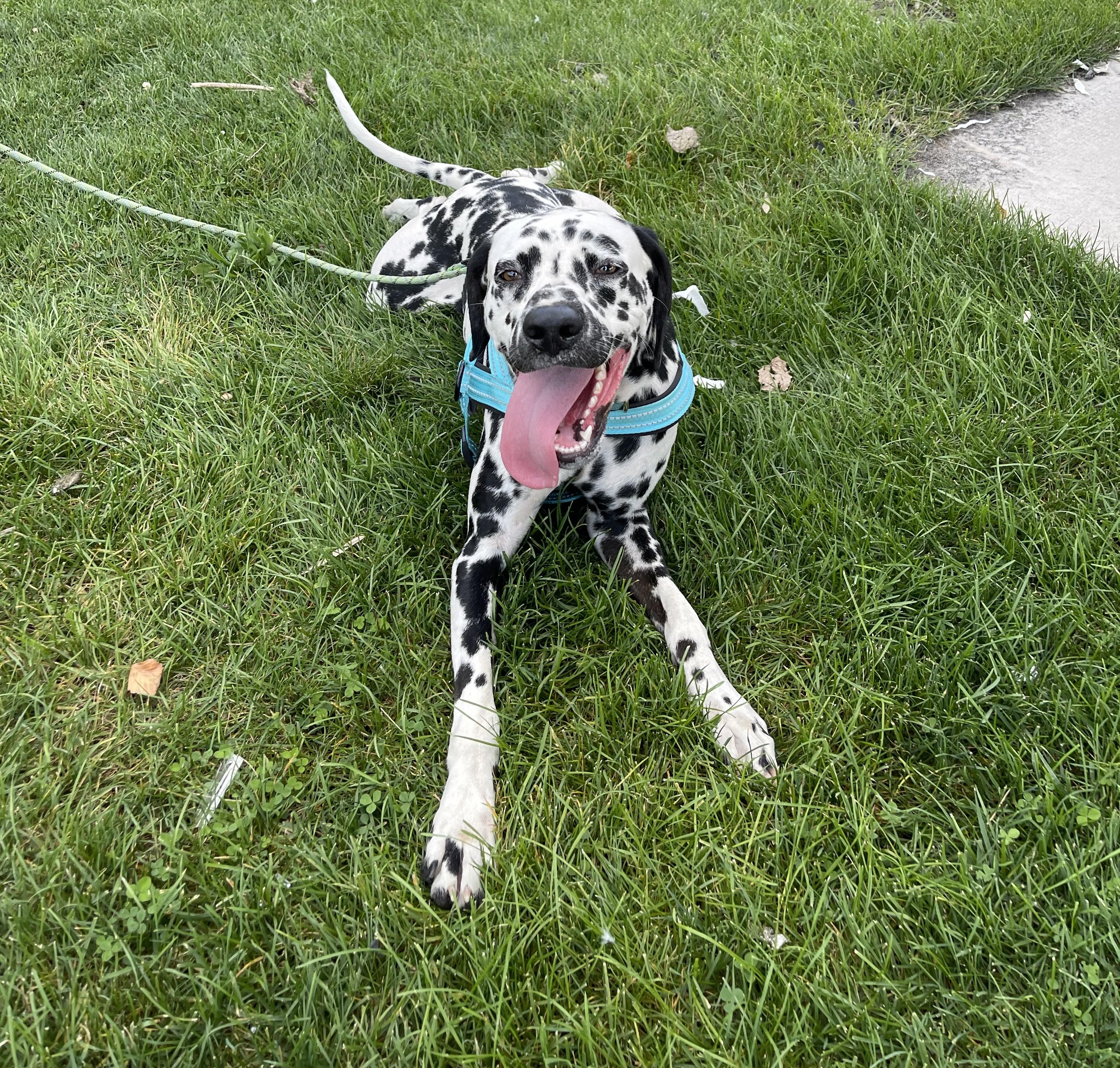 Ollieelkhart  In thumbnail 6