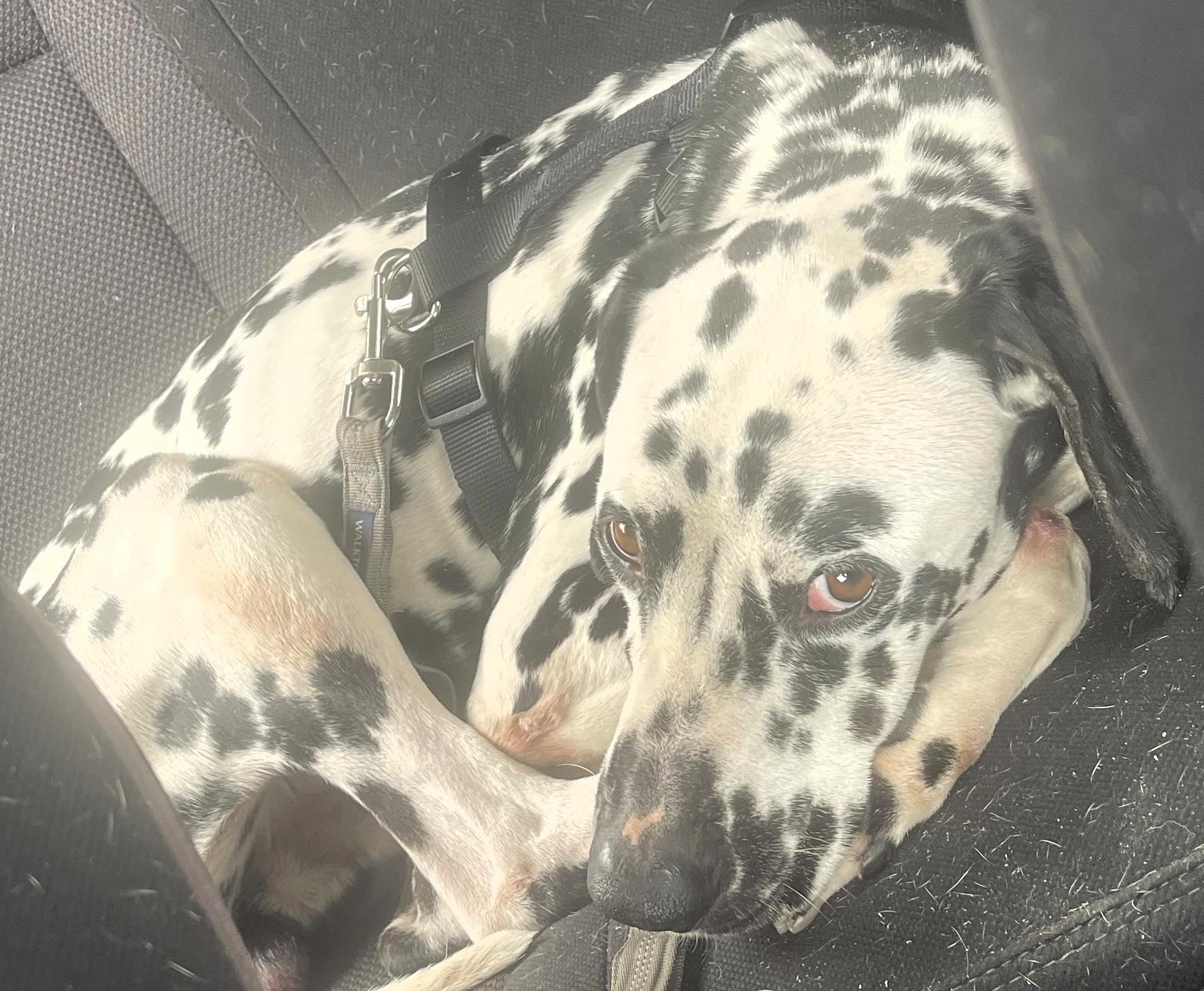 Ollieelkhart  In thumbnail 7