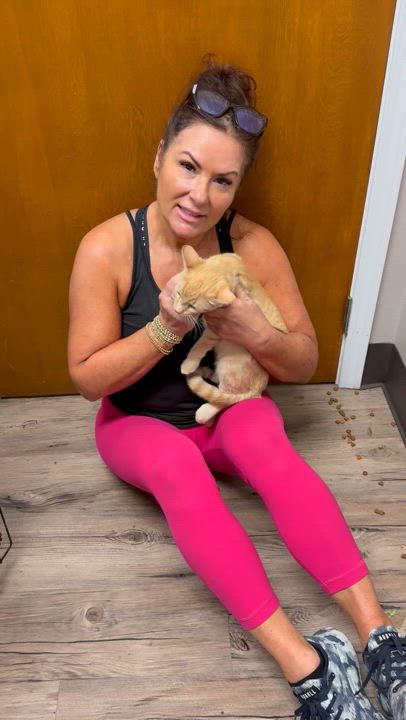 Enlarge Tangi, a Adoptable Domestic Short Hair in Warwick, RI video 4/5