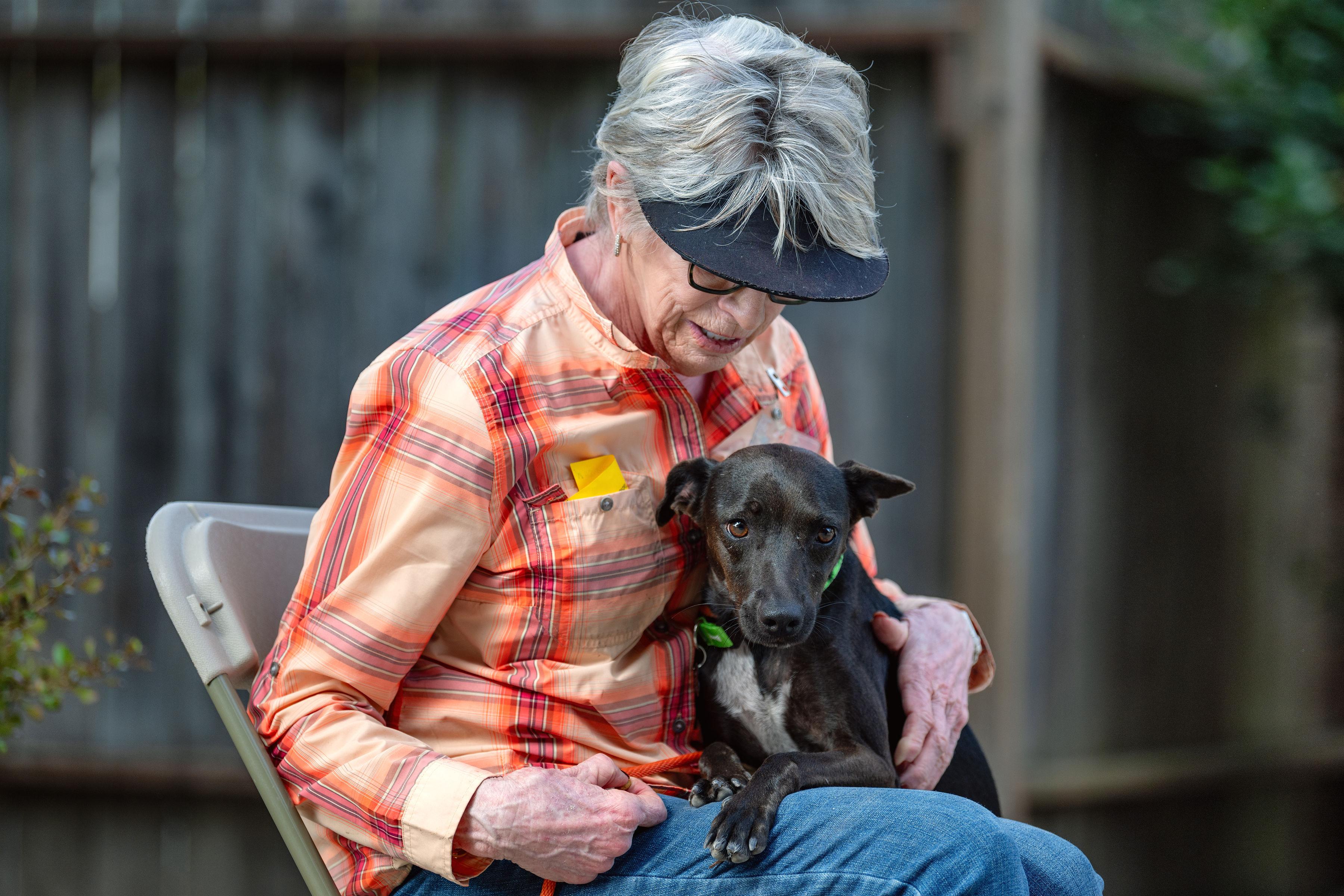 Enlarge Michelle, a Adoptable mixed breed in Santa Rosa, CA image 5/5