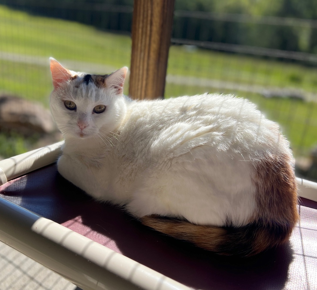 Danielle thumbnail 2