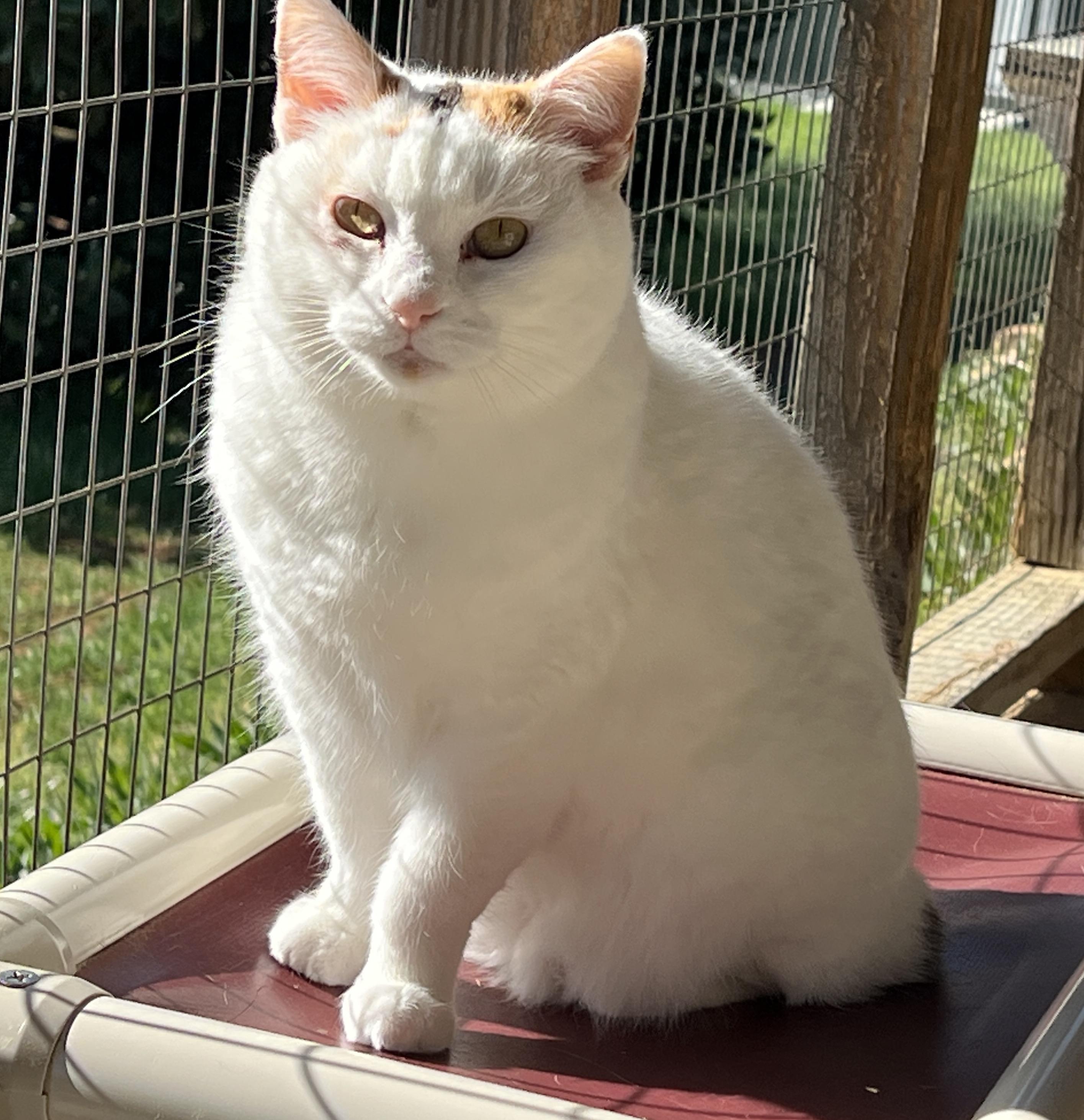 Danielle thumbnail 3