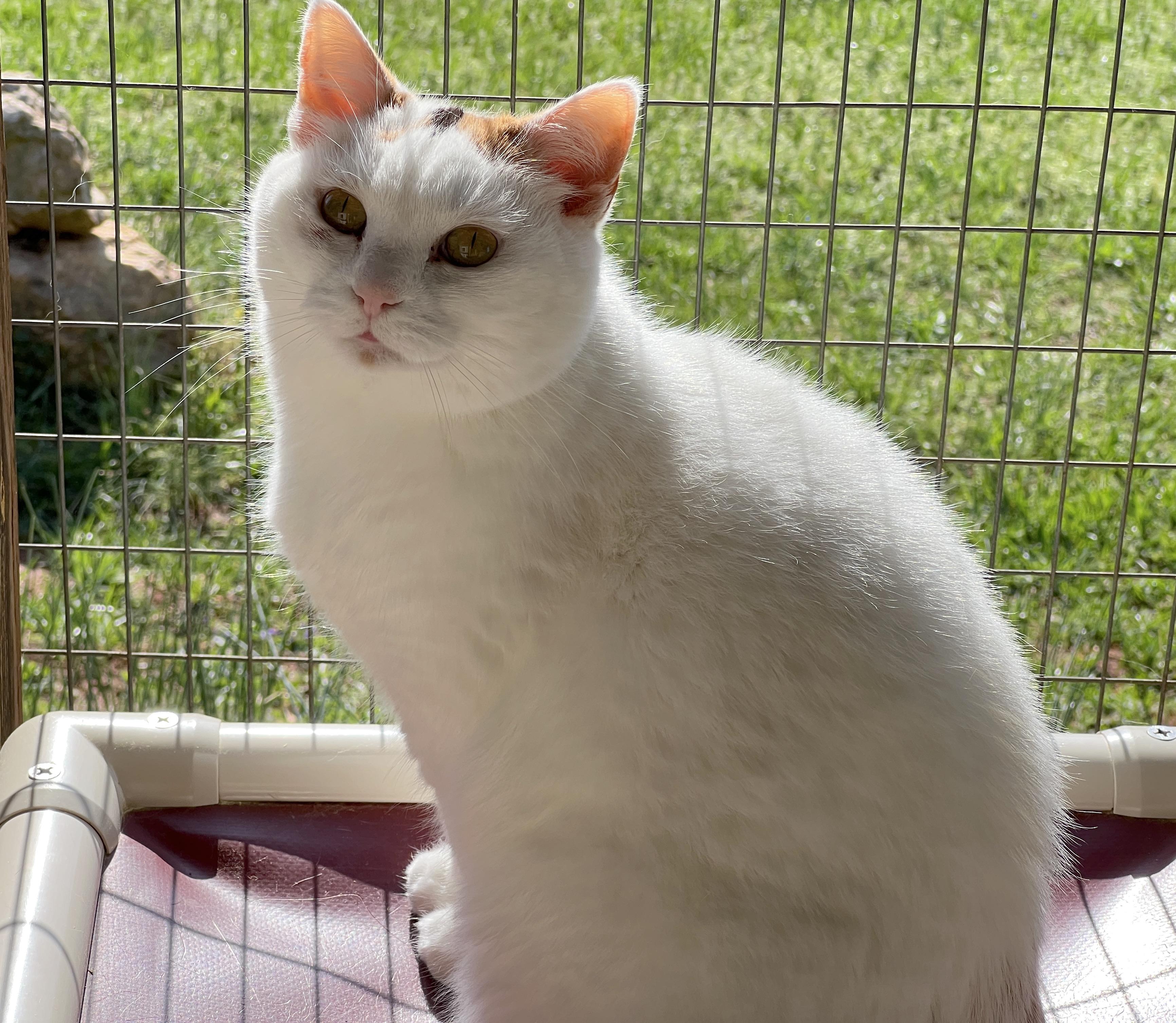 Danielle thumbnail 4