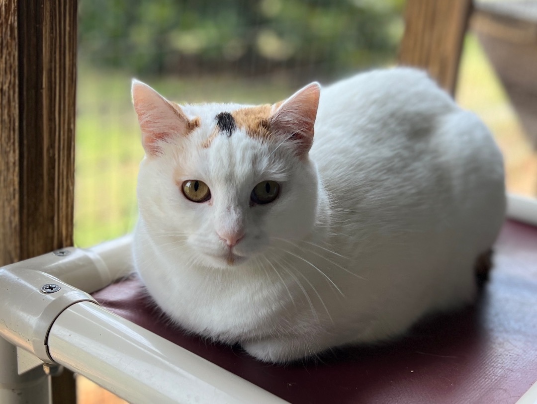 Danielle thumbnail 5