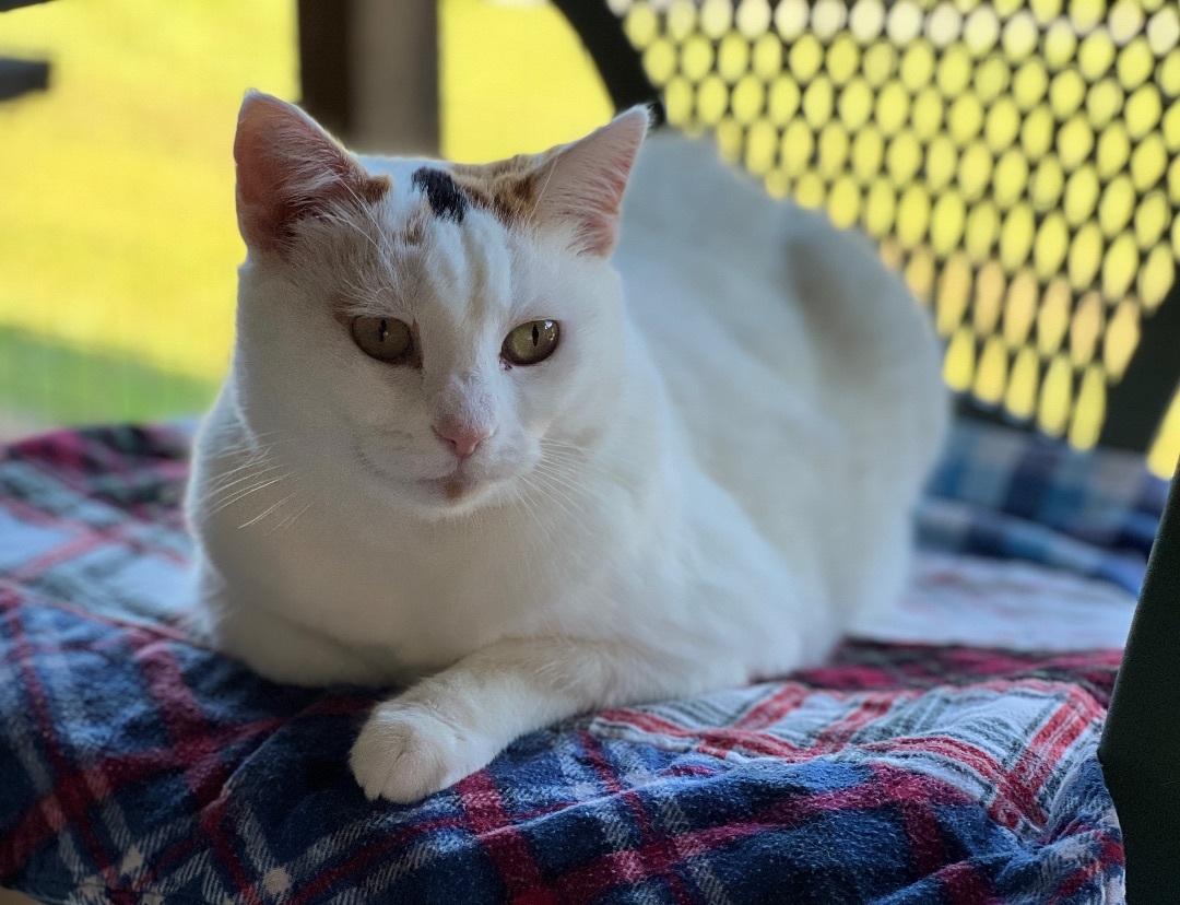 Danielle thumbnail 6