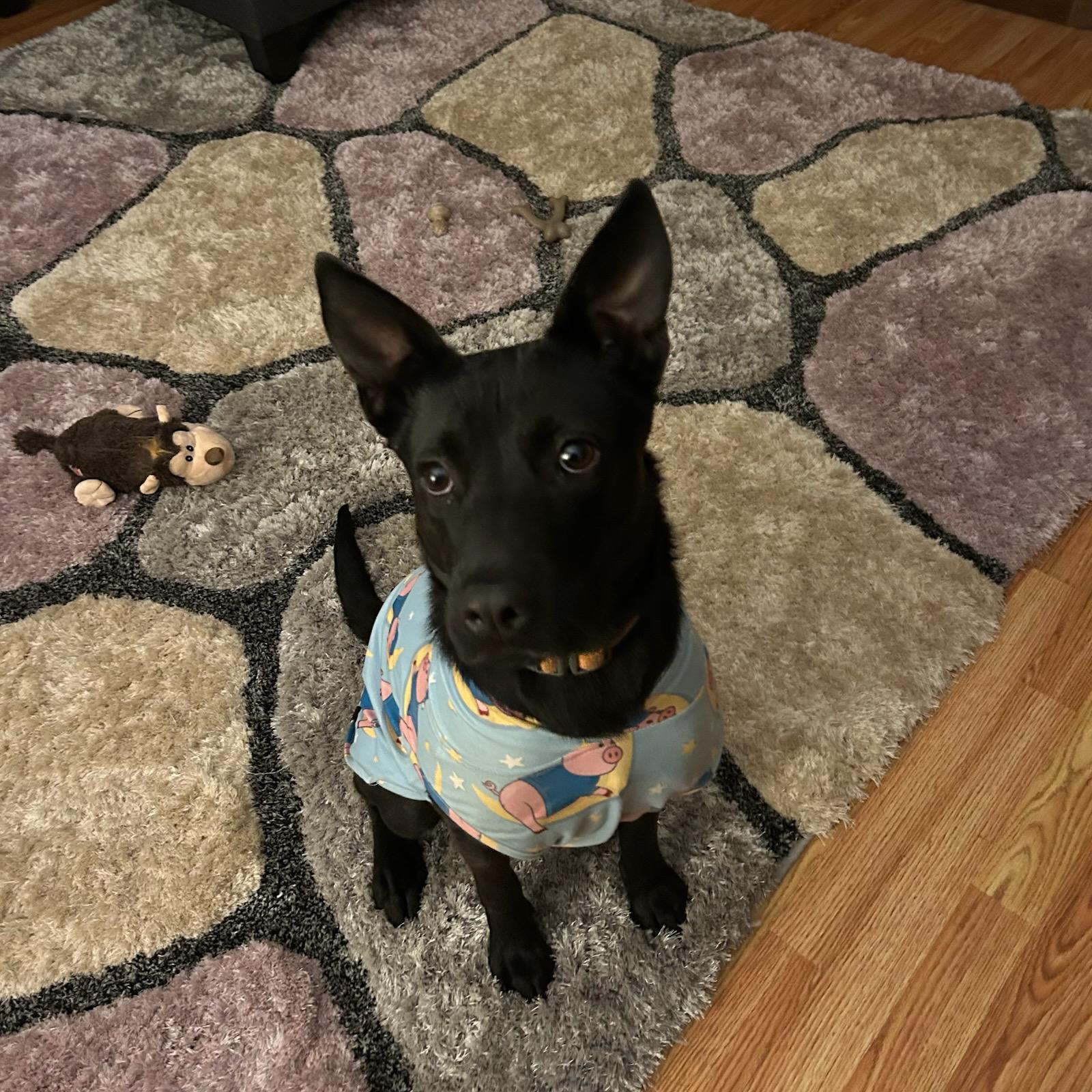 Elsa photo 2