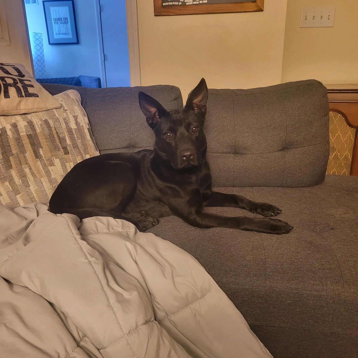 Elsa photo 4