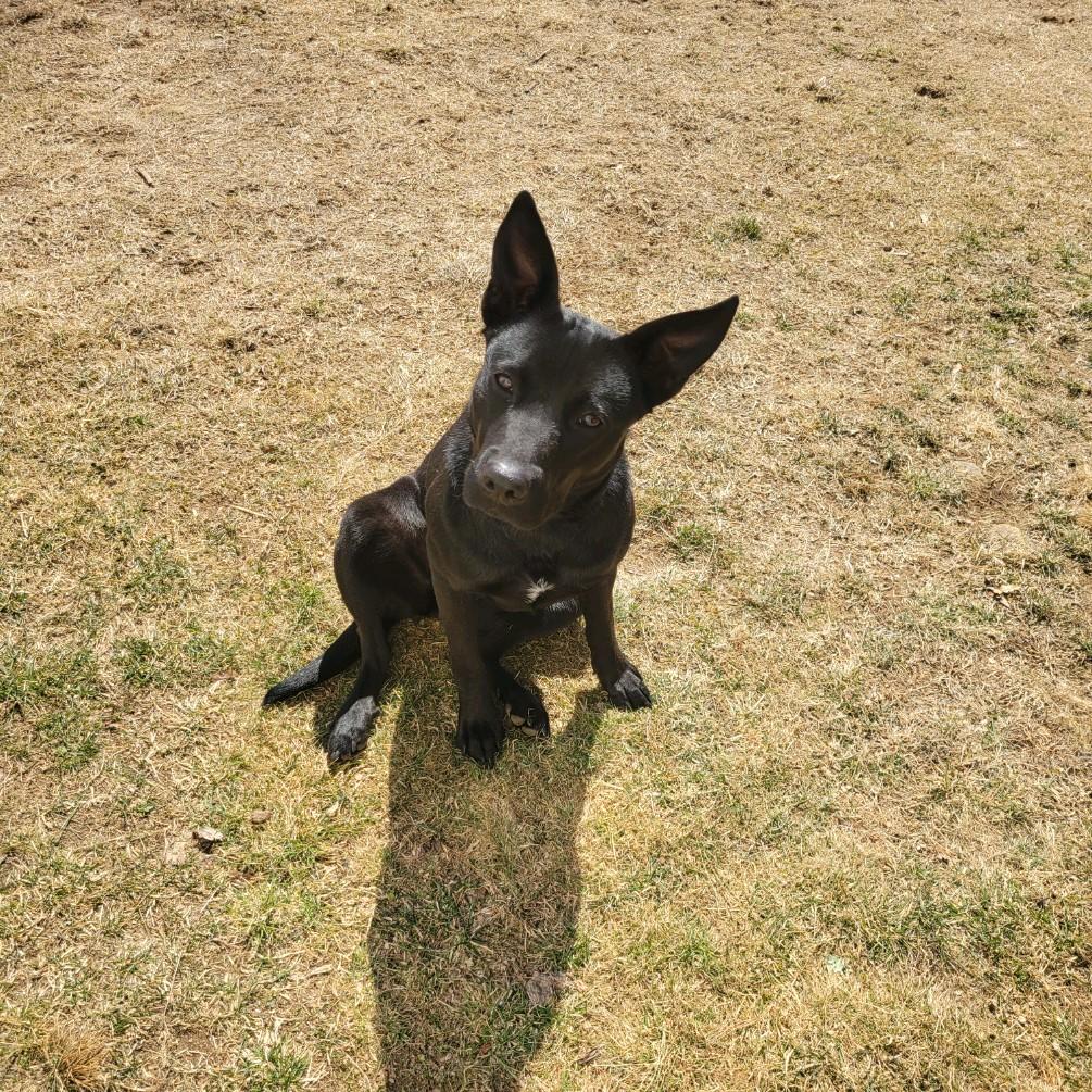 Elsa photo 6