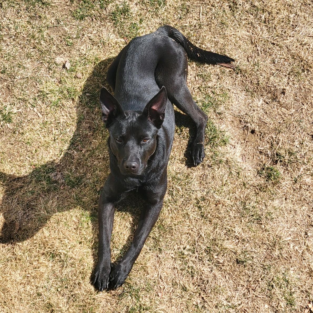 Elsa photo 5
