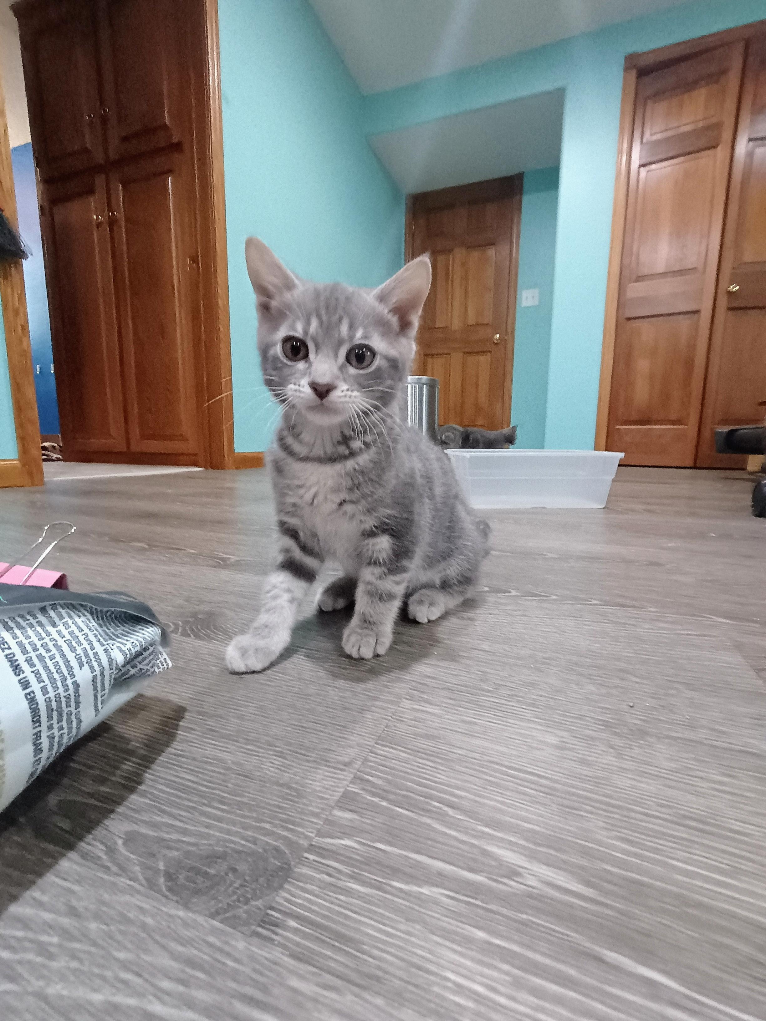 Winslow