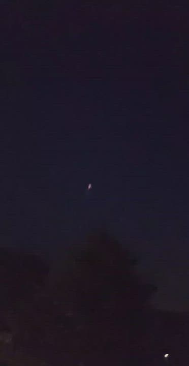 Enlarge Charlene, a Adoptable mixed breed in New Kensington, PA video 7/7