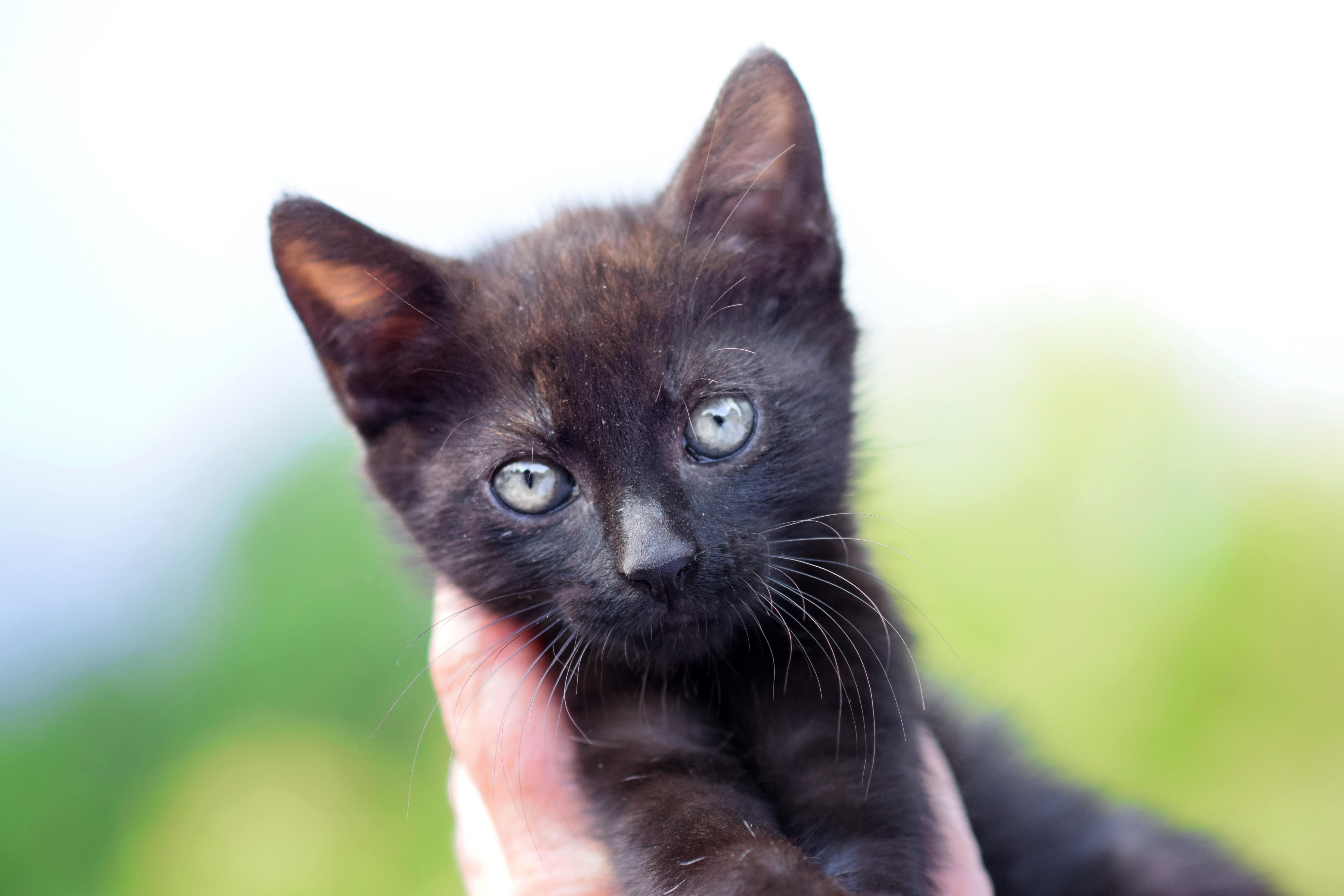 Binx