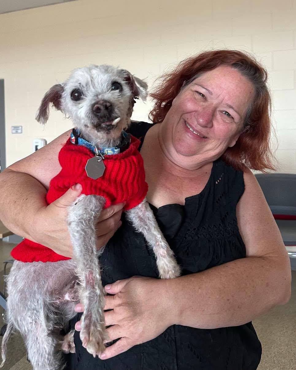 Lars in Colorado, a ADOPTABLE mixed breed in Boulder, CO image 5/6