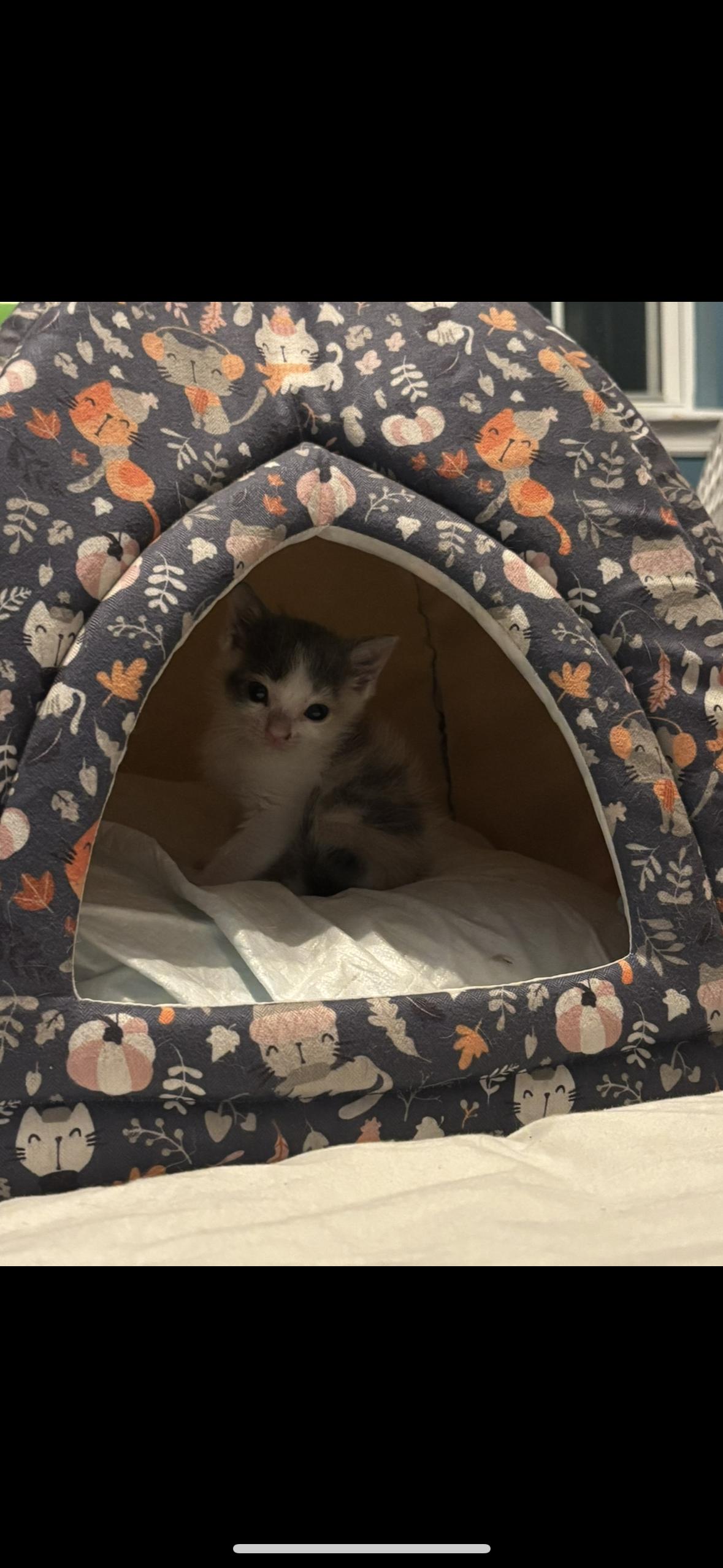 Isla Skye