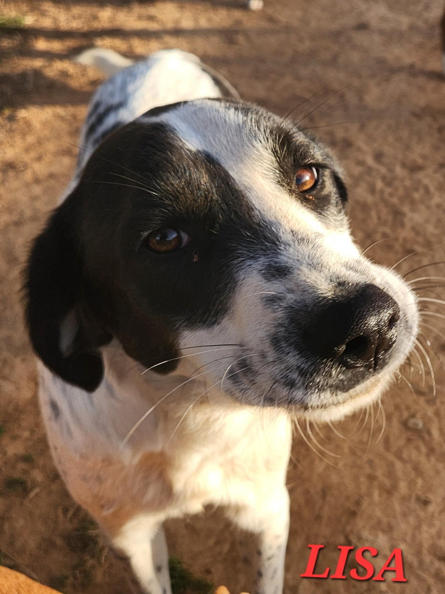 Lisa Sunset — thumbnail 6