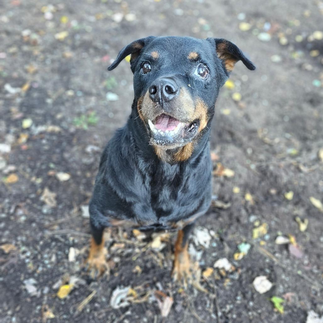 Roxie — thumbnail 3