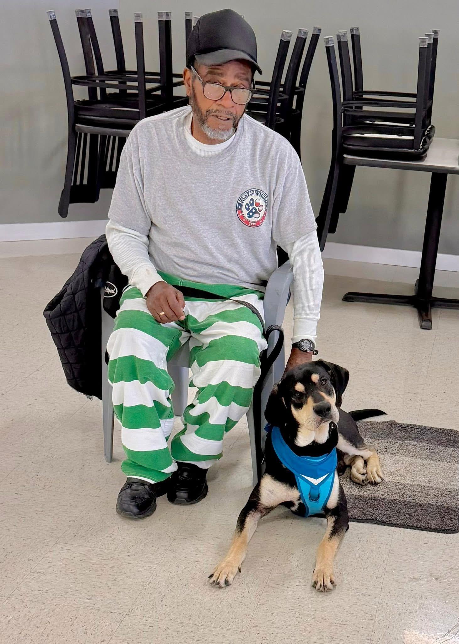 Tater, ADOPTABLE, Young Male Hound.