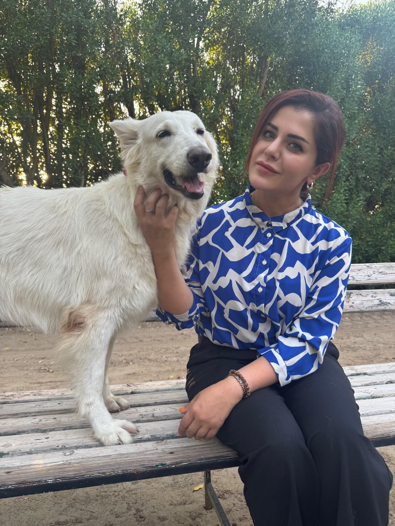 Enlarge Jennie, a Adoptable White German Shepherd in Mississauga, ON image 6/6