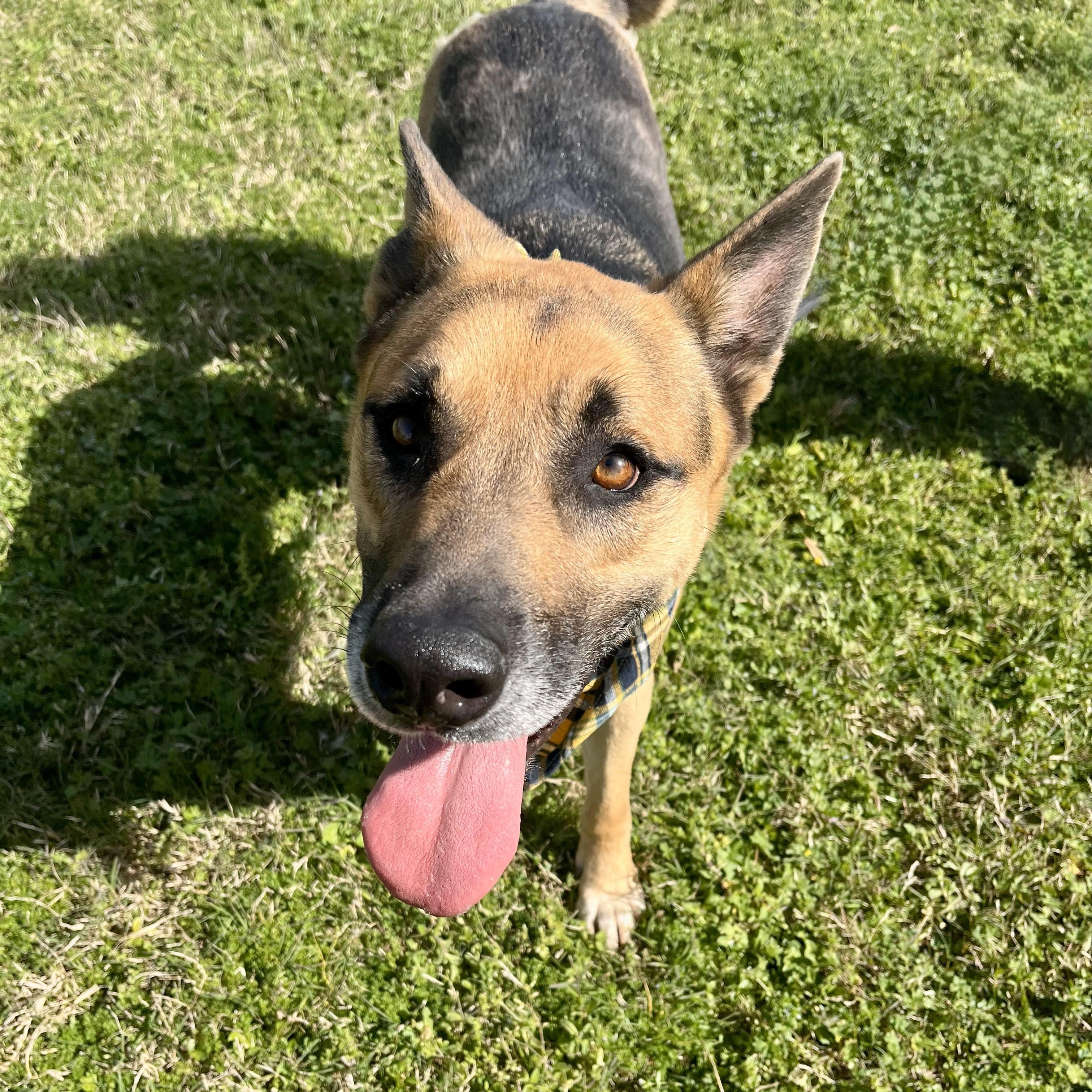 Fig Lucas — thumbnail 3