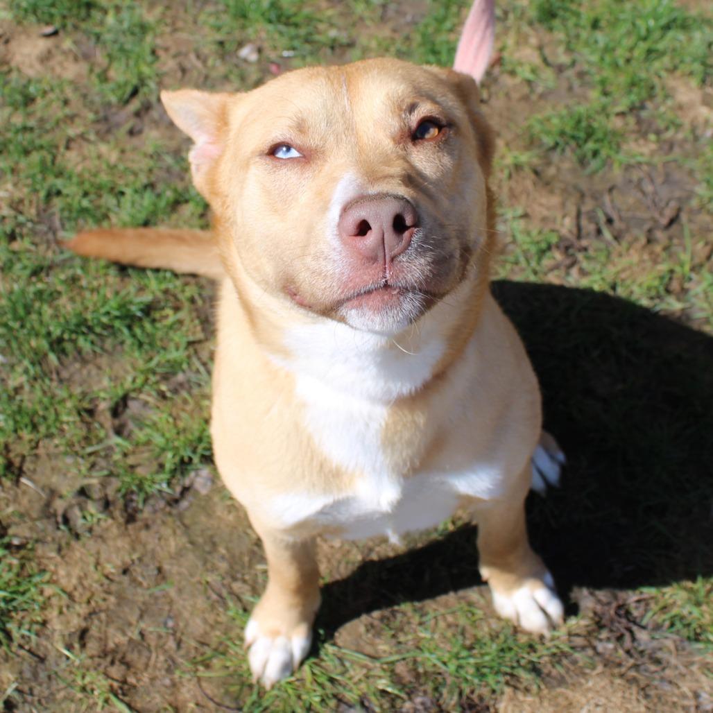 Stella — thumbnail 3