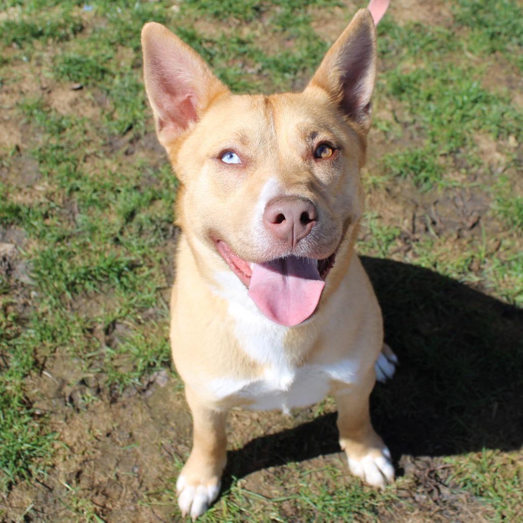 Stella — thumbnail 4