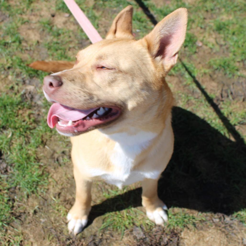 Stella — thumbnail 6