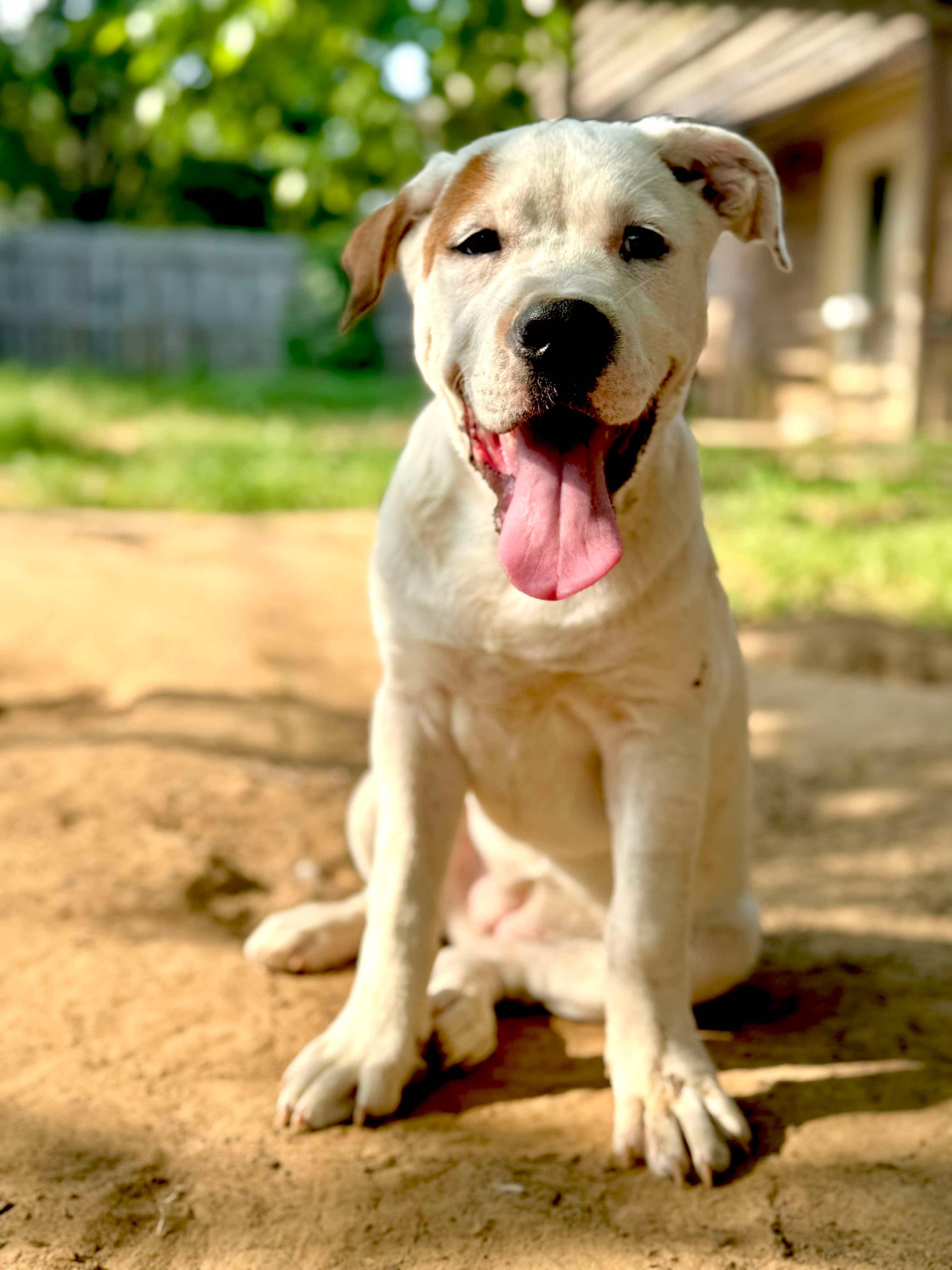 May, Baby Female unknown