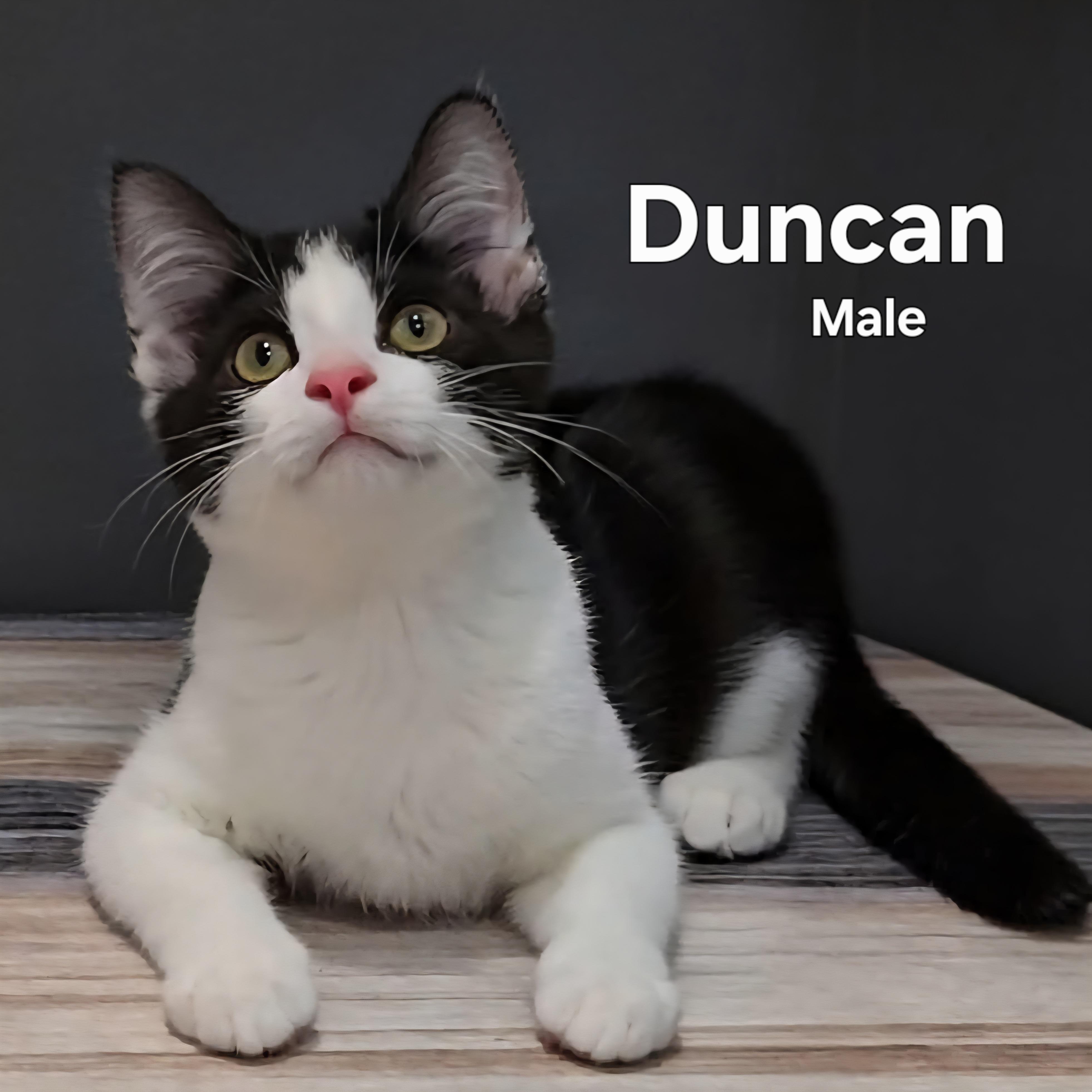 Duncan