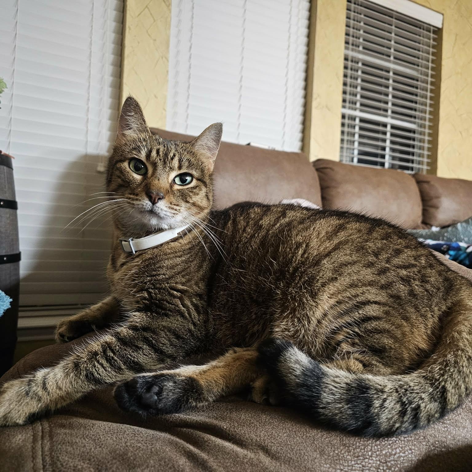 Caramel Latte — thumbnail 2