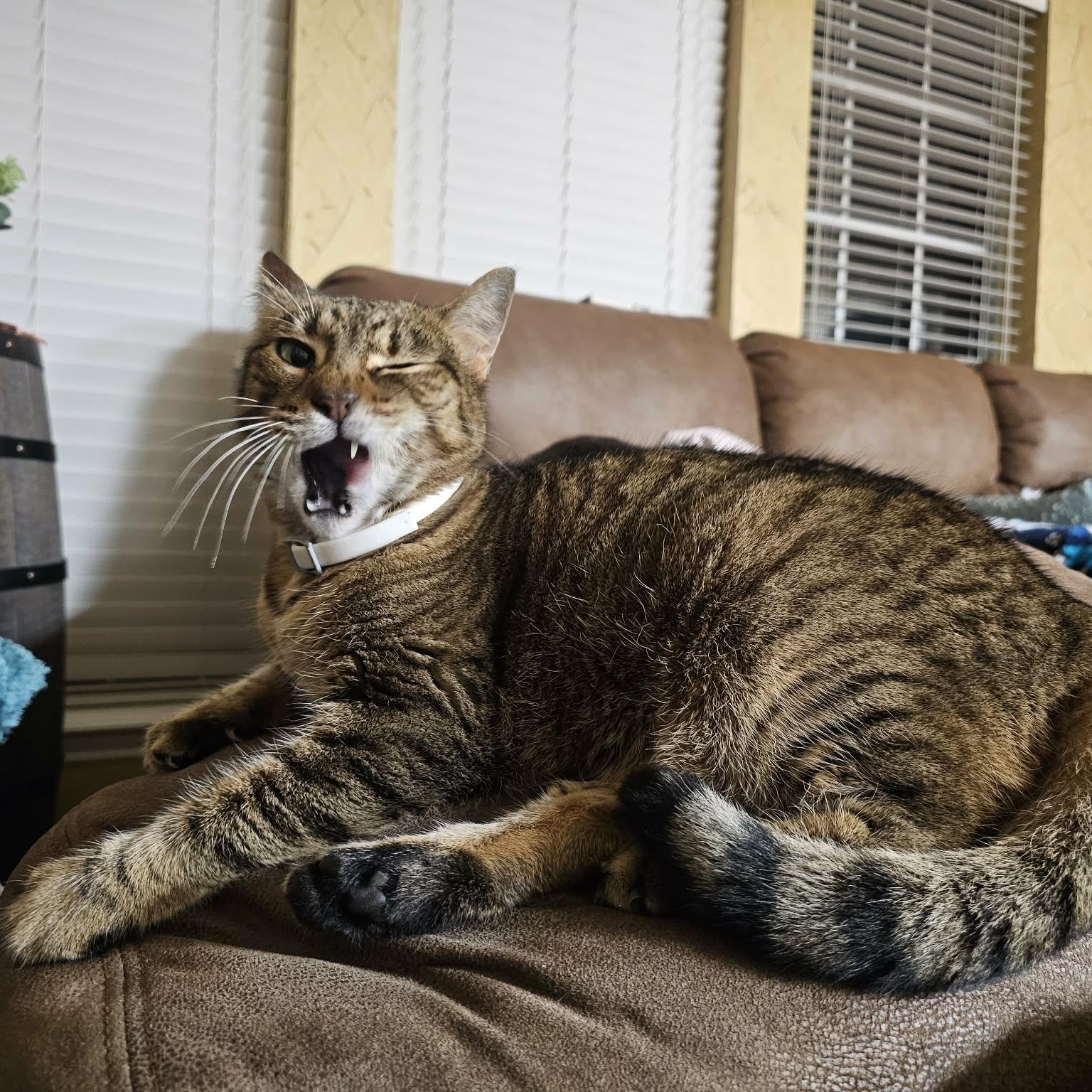 Caramel Latte — thumbnail 5