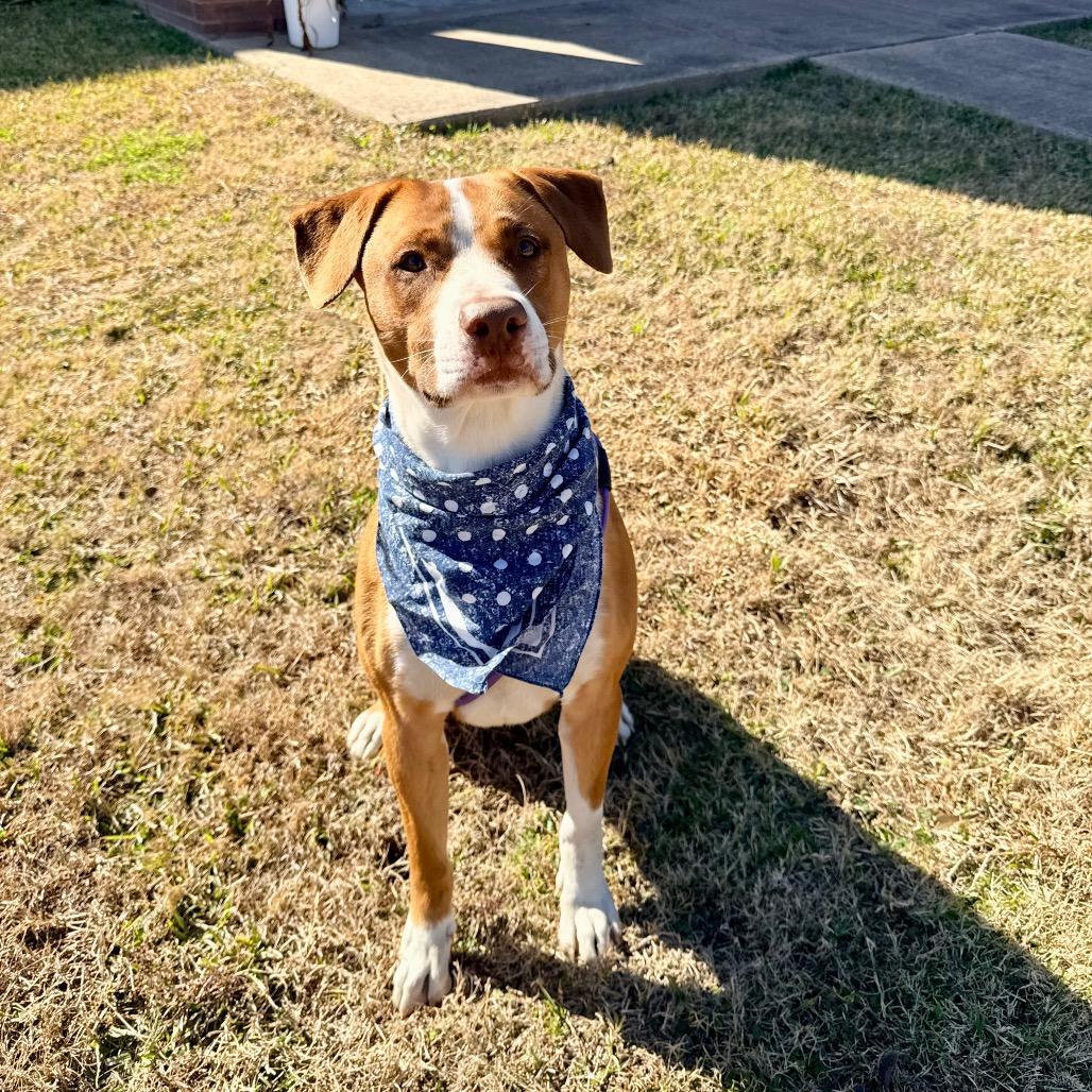 Bret — thumbnail 5