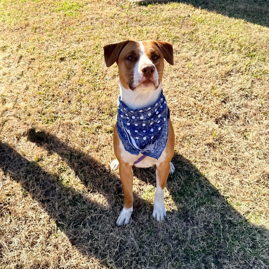 Bret — thumbnail 6