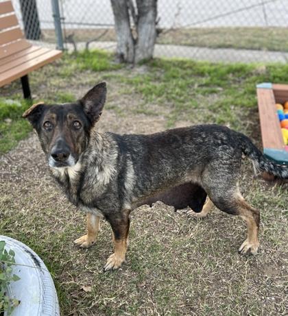 Maybeline — thumbnail 2