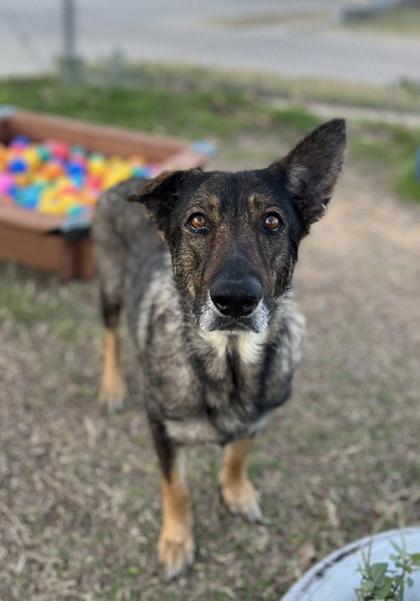 Maybeline — thumbnail 4