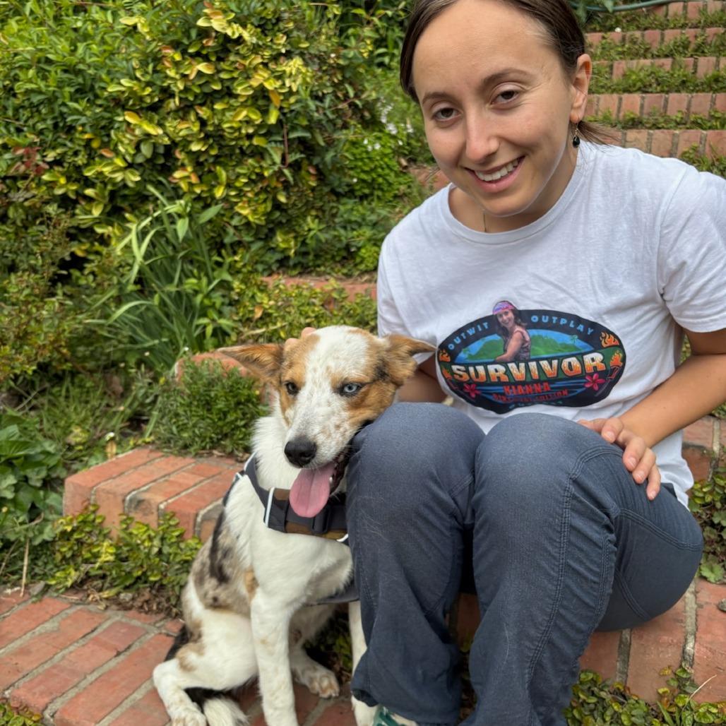 Enlarge JAMESON, a Adoptable mixed breed in Point Richmond, CA image 4/6