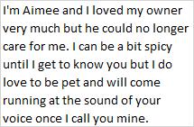 Enlarge Aimee, a ADOPTABLE Domestic Long Hair in Libby, MT image 2/2