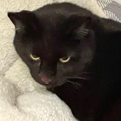 Elon — thumbnail 2