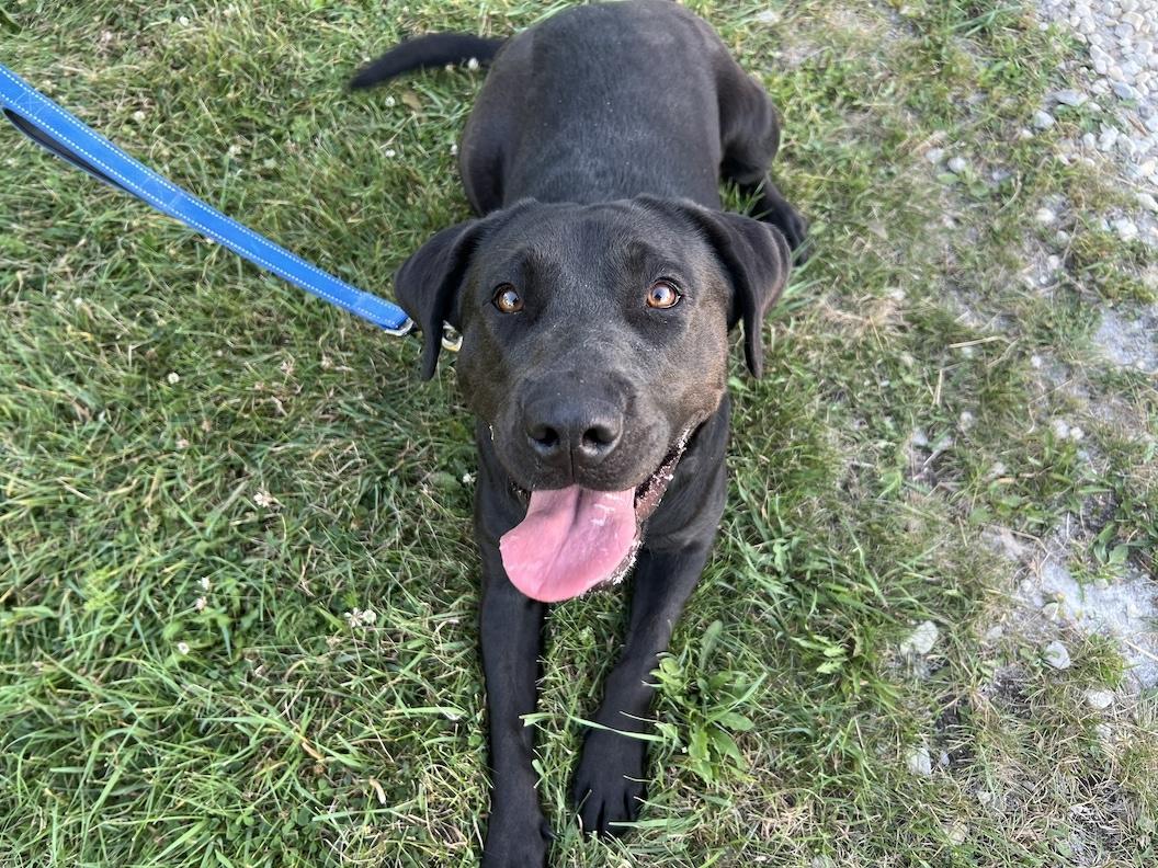 Veronica-Not Accepting Applications Yet!