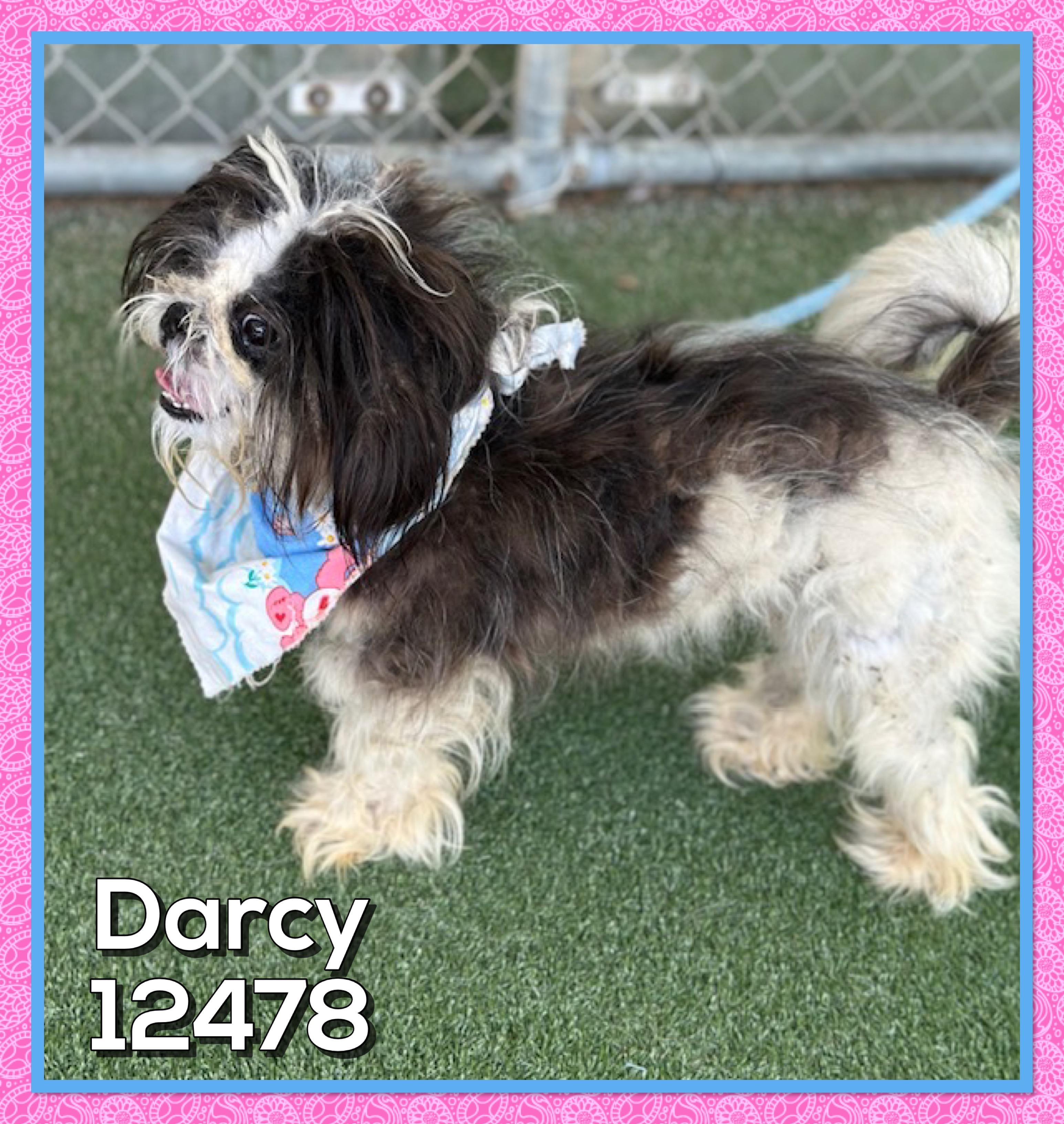 DARCY