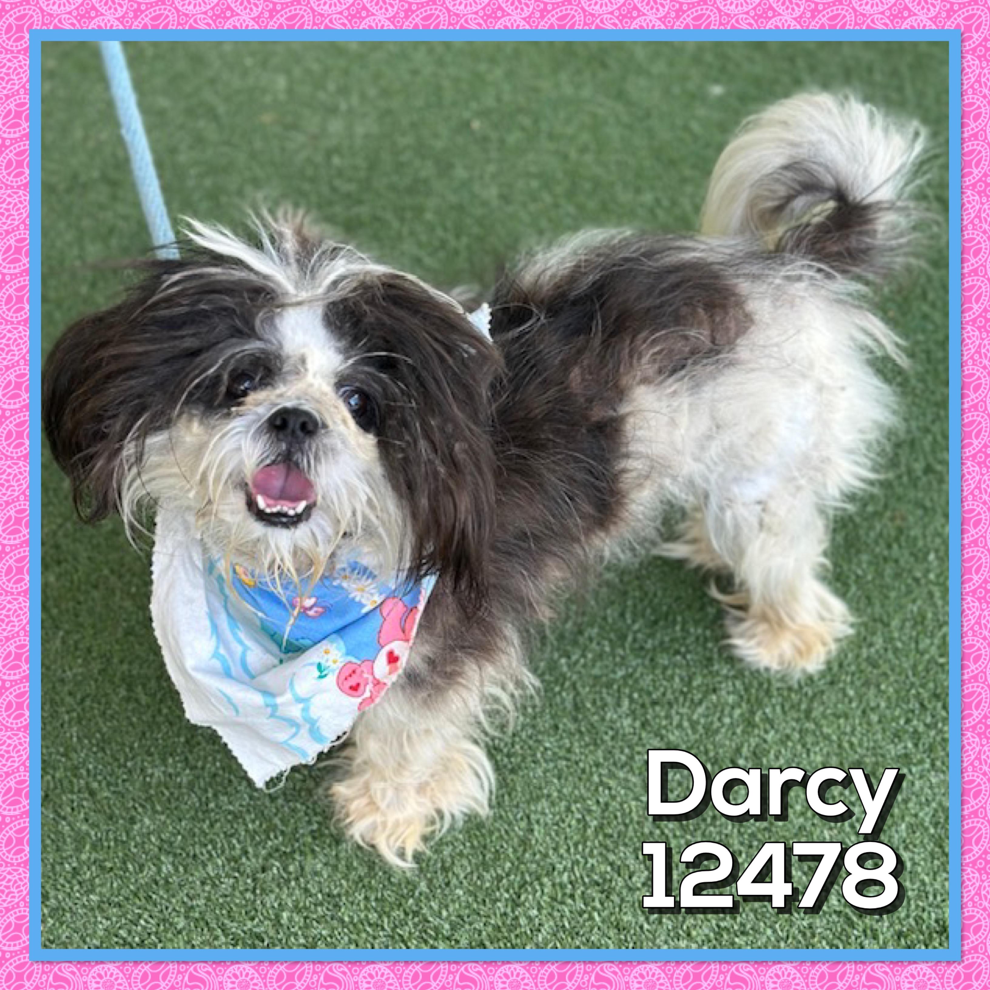 DARCY