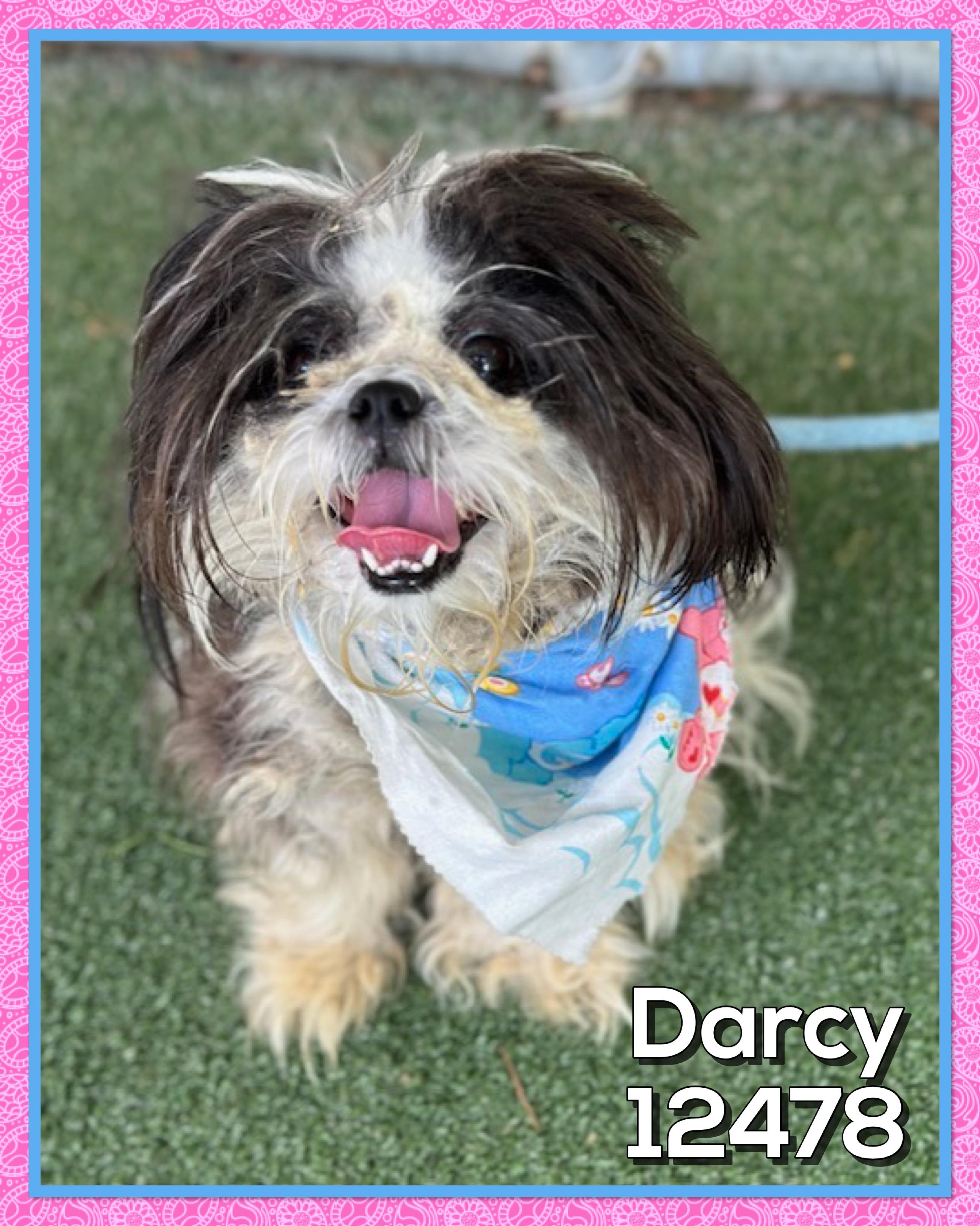 DARCY