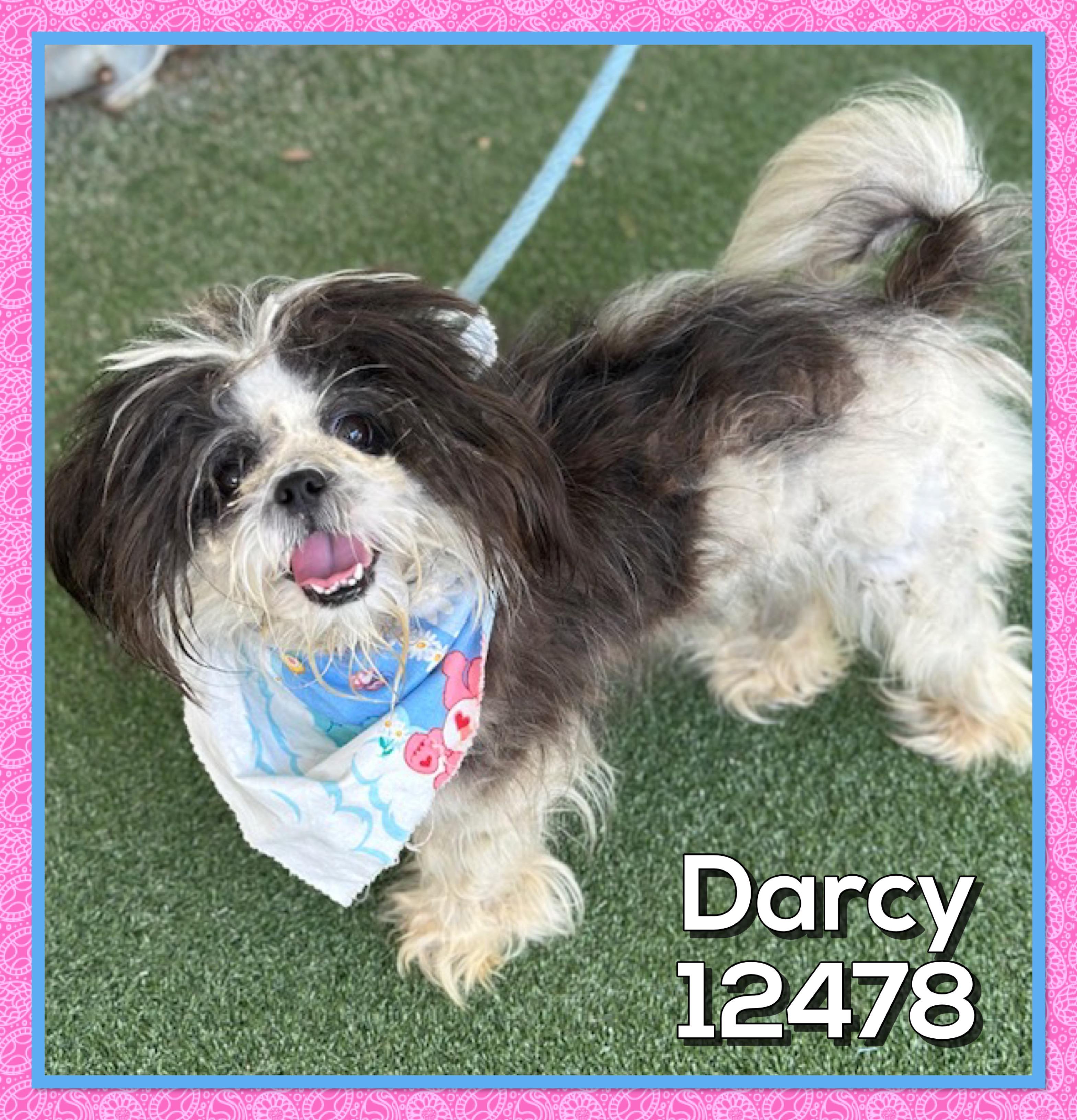 DARCY