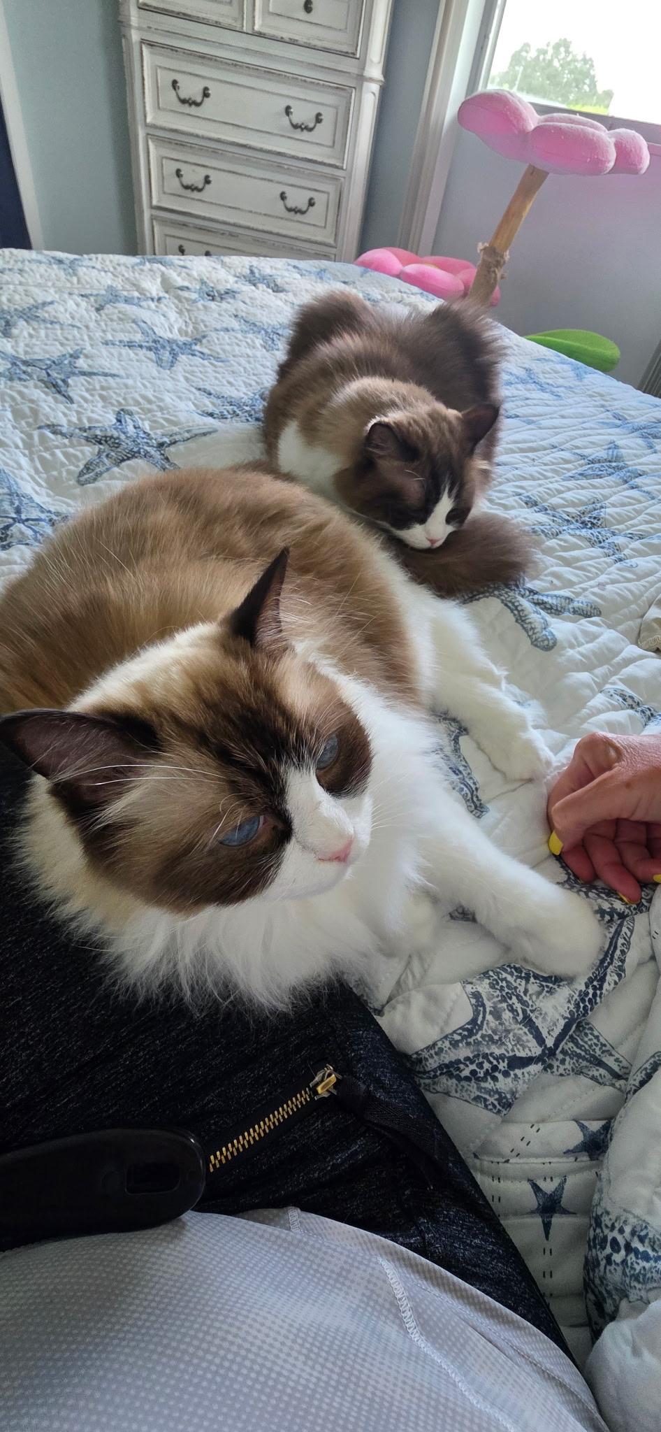 Skylar (and Savannah)