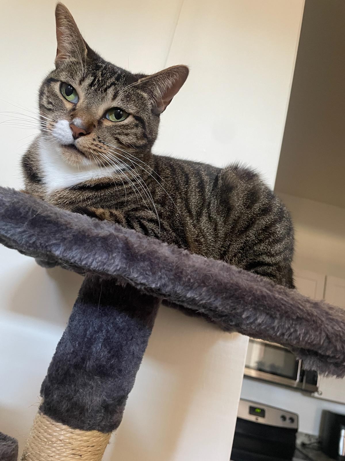 Crystal & Nina -----URGENT