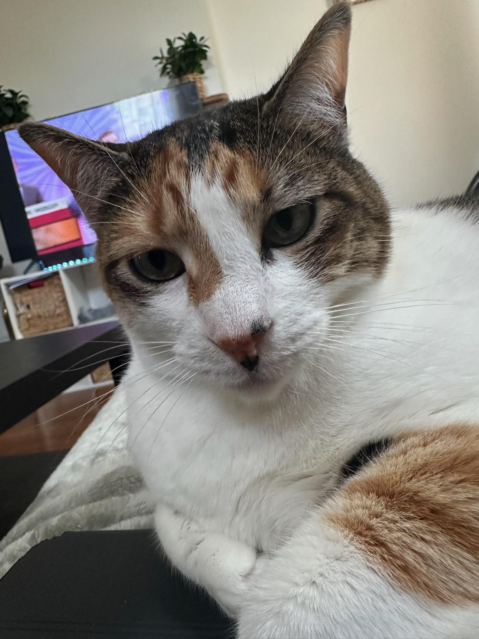 Crystal & Nina -----URGENT