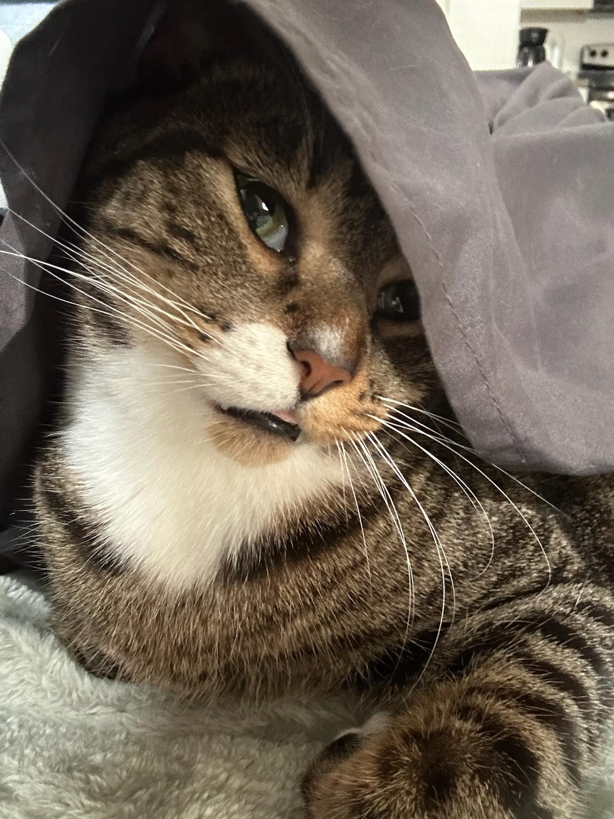 Crystal & Nina -----URGENT