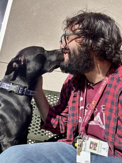 Enlarge Tina, a Adoptable mixed breed in Wichita, KS image 3/3