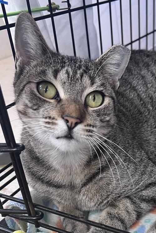 Leahwillow Grove thumbnail 2