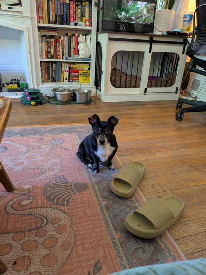 Miss Ma`am thumbnail 3